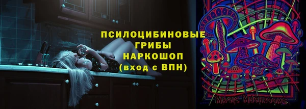 apvp Верея
