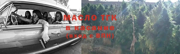 крисы Верхний Тагил