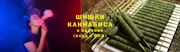 крисы Верхний Тагил
