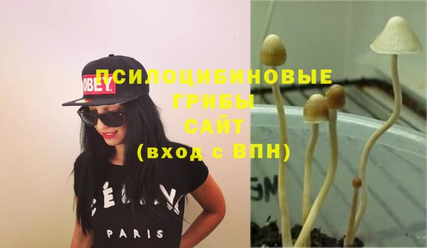 бошки Вязьма