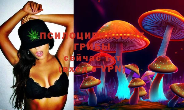 бошки Вязьма