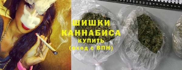 крисы Верхний Тагил